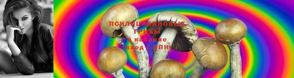 ECSTASY Армянск