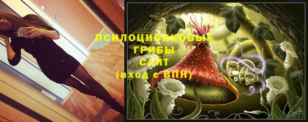 ECSTASY Армянск