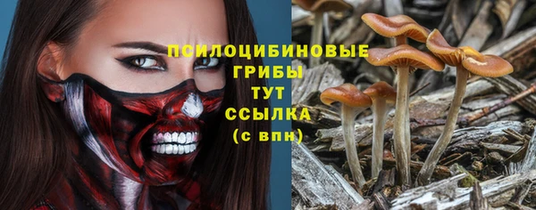 ALPHA PVP Баксан