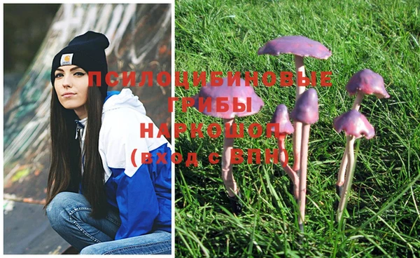 мяу мяу мука Арсеньев