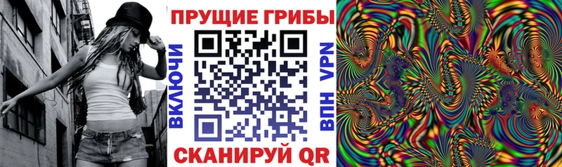 Галлюциногенные грибы Psilocybine cubensis  KRAKEN   Балей 